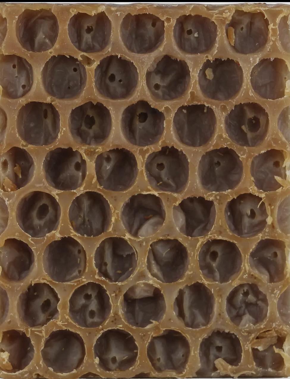 Oatmeal & Honey Soap