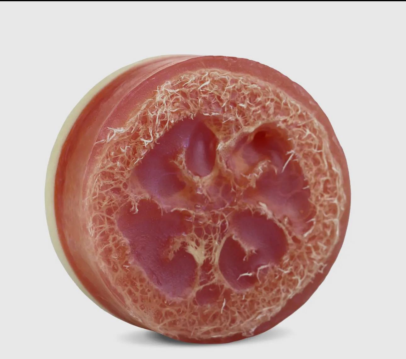 Loofah Soap