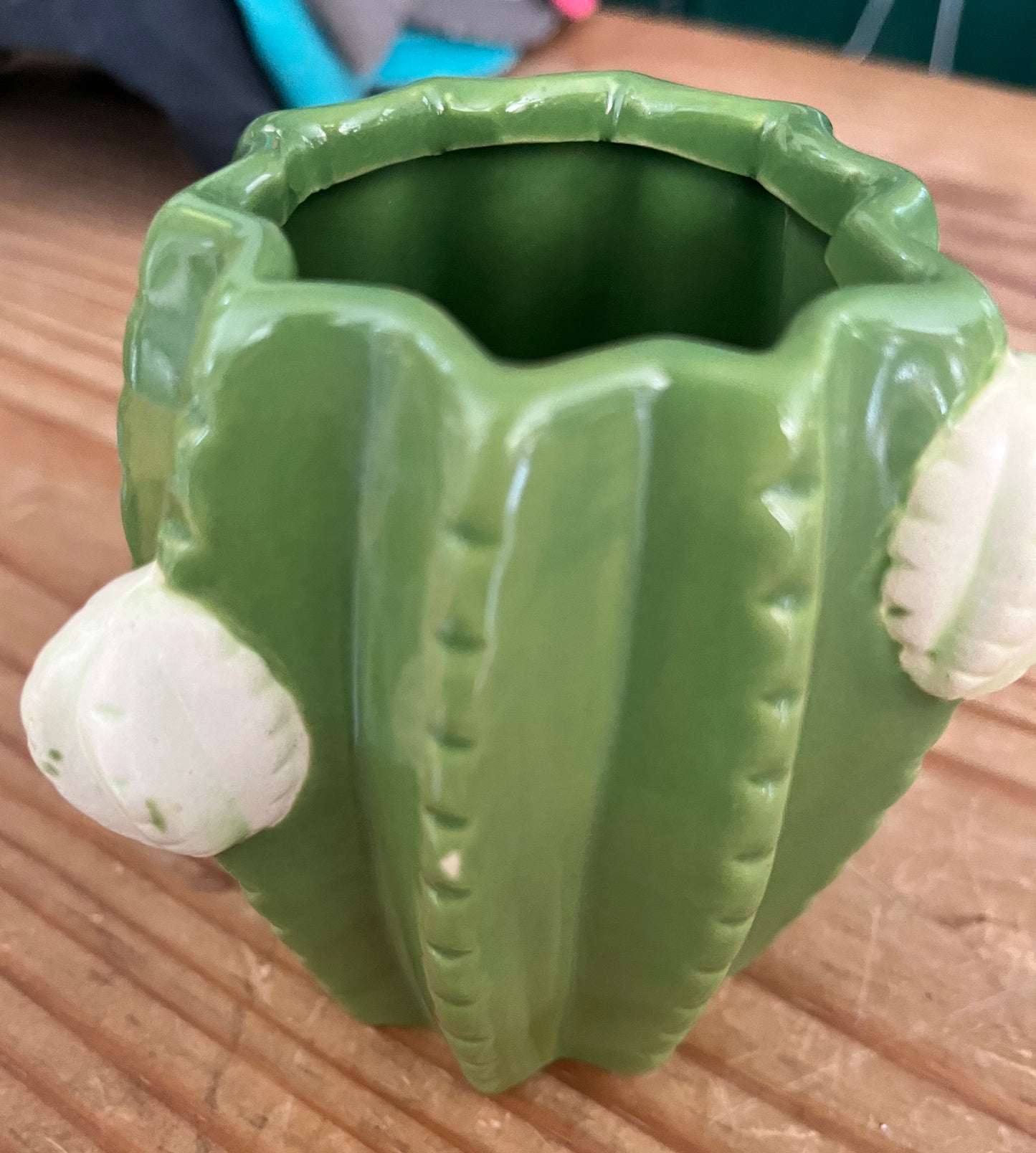 Cactus Vase, Pencil holder, Planter
