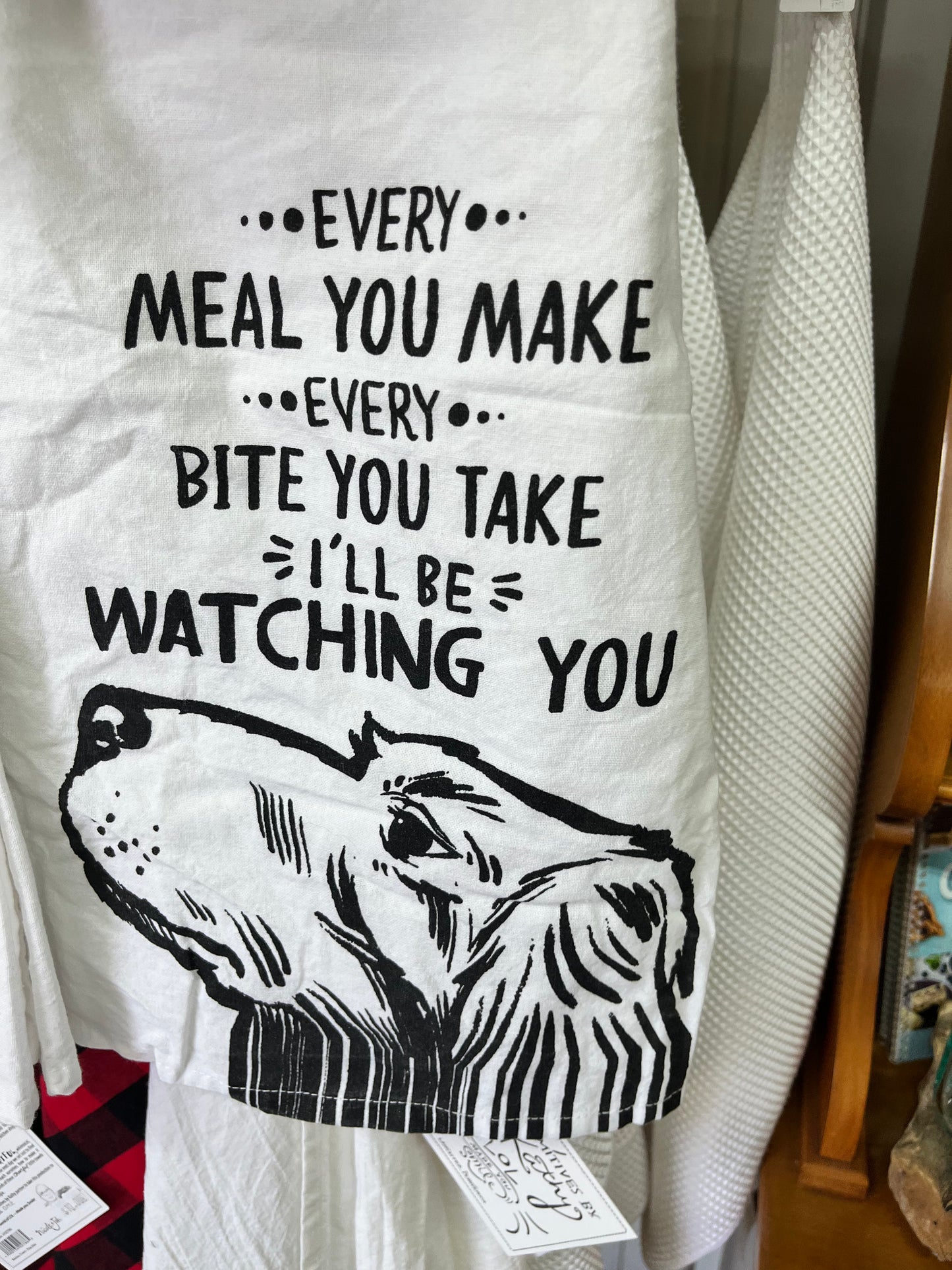 Dog wants a snack