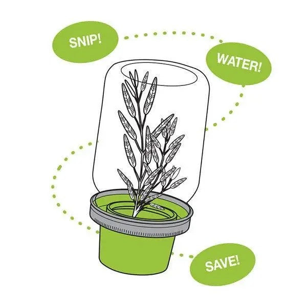 JarWare Herb Saver