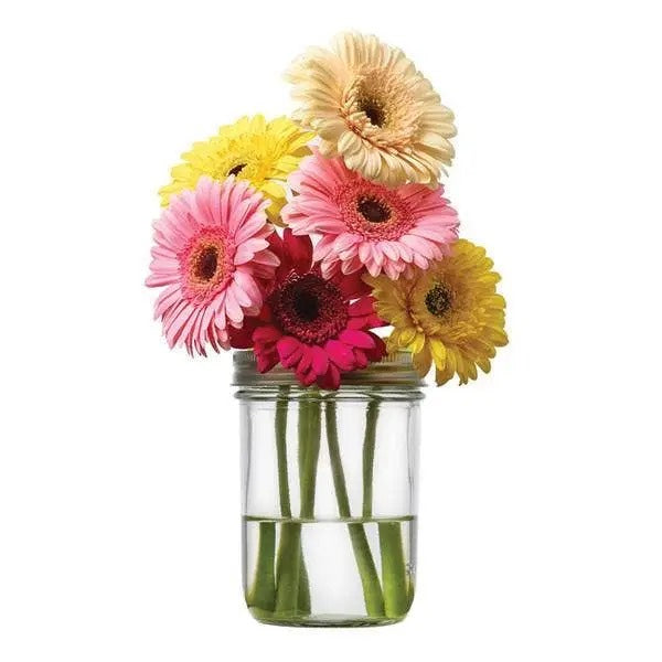 JarWare Flower Vase or Desktop Organizer