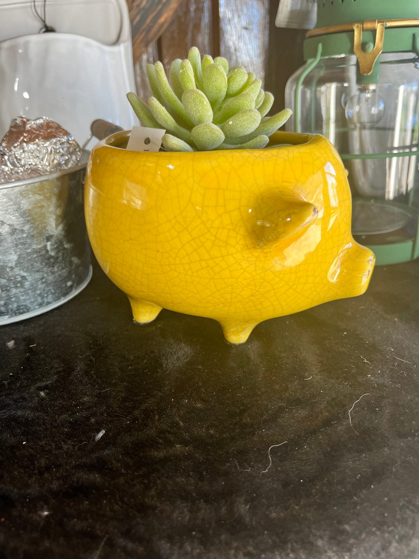 Pig Planters